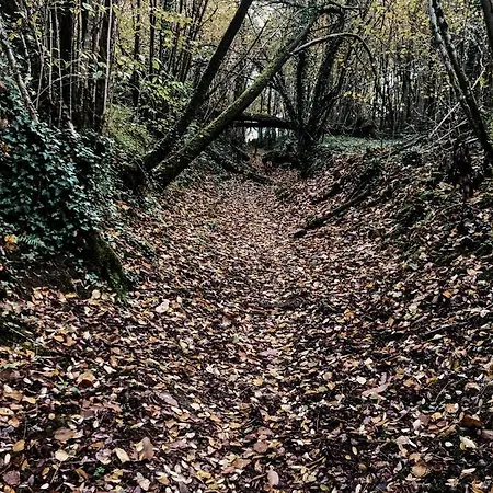 La Ferme Du Pont De Maumy, Au Bord De L'etang Et Bain Nordique Séjour à la ferme Busserolles