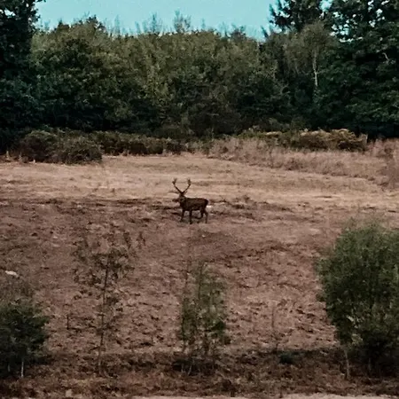 La Ferme Du Pont De Maumy, Au Bord De L'étang Et Bain Nordique Busserolles