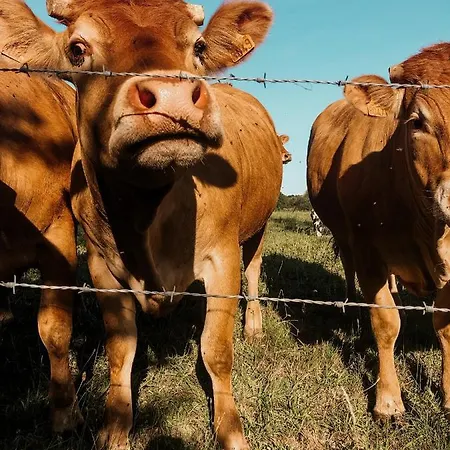 La Ferme Du Pont De Maumy, Au Bord De L'étang Et Bain Nordique *