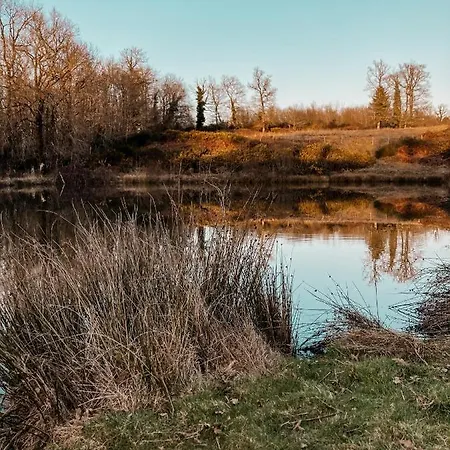 La Ferme Du Pont De Maumy, Au Bord De L'etang Et Bain Nordique Busserolles