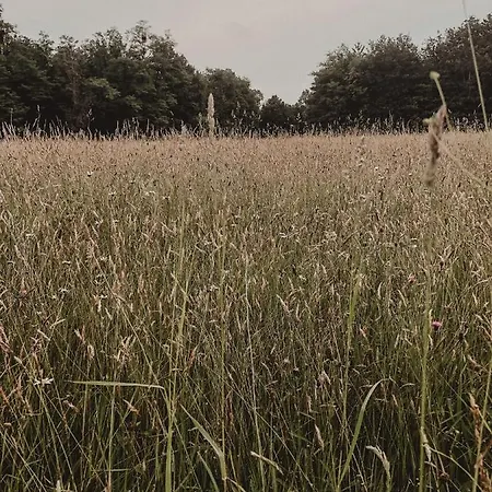 Le Pont De Maumy, Au Bord De L'etang Et Bain Nordique * Busserolles