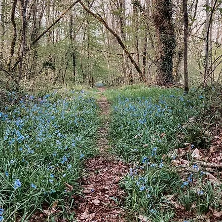 Le Pont De Maumy, Au Bord De L'etang Et Bain Nordique *