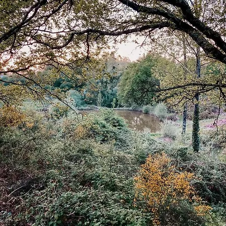 Séjour à la ferme La Ferme Du Pont De Maumy, Au Bord De L'étang Et Bain Nordique *