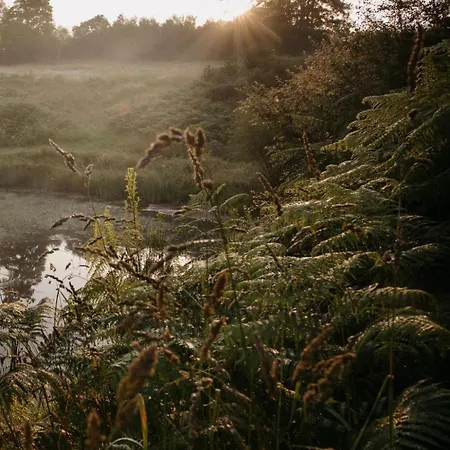 La Ferme Du Pont De Maumy, Au Bord De L'etang Et Bain Nordique * Busserolles
