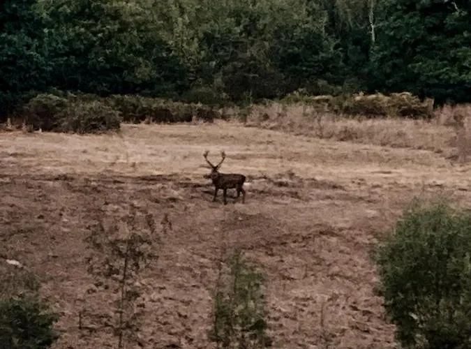 Le Pont De Maumy, Au Bord De L'etang Et Bain Nordique Busserolles