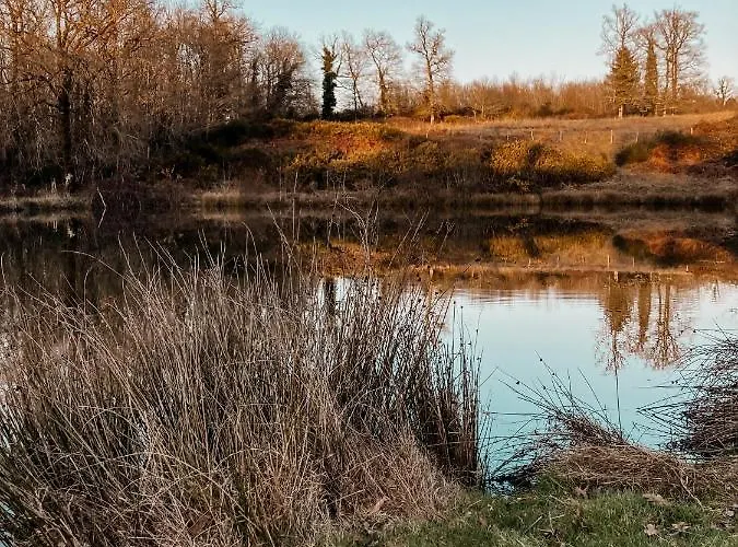 Le Pont De Maumy, Au Bord De L'etang Et Bain Nordique Busserolles