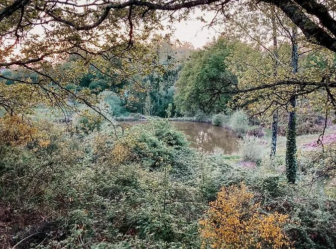Κατάλυμα σε φάρμα Le Pont De Maumy, Au Bord De L'etang Et Bain Nordique *